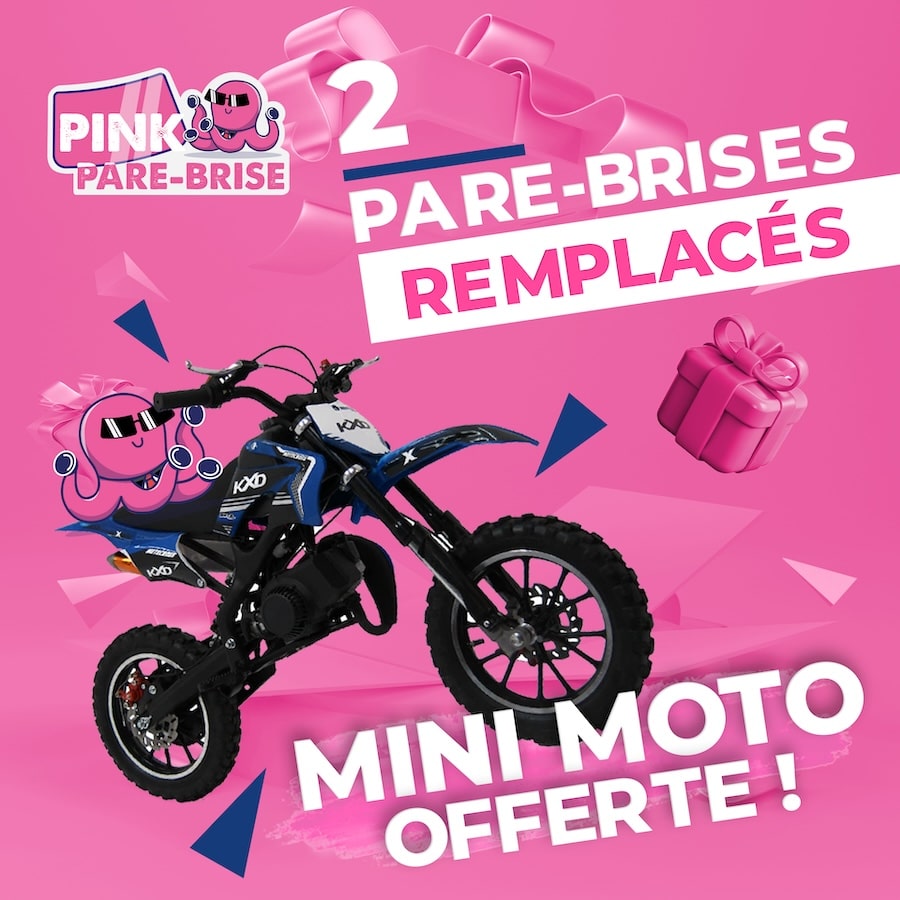 cadeau pink parebrise moto-min