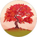 Sassi boughanmi profile picture